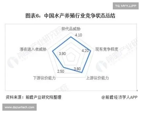 全面解析澳洲杯赛场实力评估与未来竞争格局发展趋势深度洞察全景
