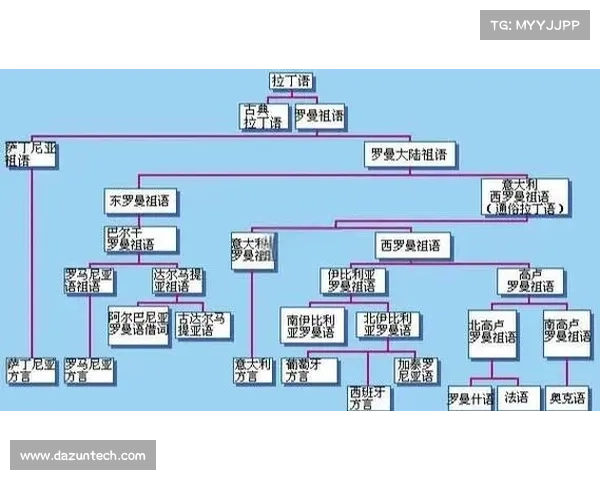 巴舒亚伊语种揭秘：探索这一神秘语言的起源与独特魅力
